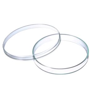 Petri Dish Glass 4” (Anumbra)