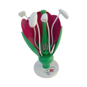 Typical Flower Model