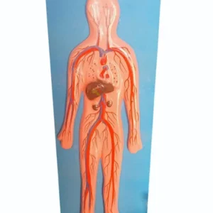 Biology Lab Equipments