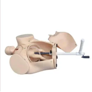 Advanced Delivery Mechanism Demonstration Simulator (Adult Female)