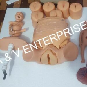 Child Birth Simulator & Baby with Placenta