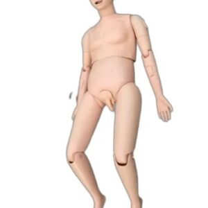 Multifunction Male Manikin