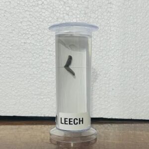 Leech Specimen
