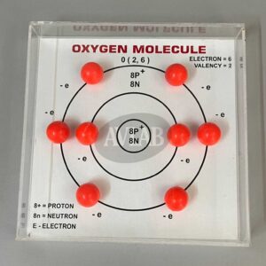 OXYGEN MOLECULE MODEL